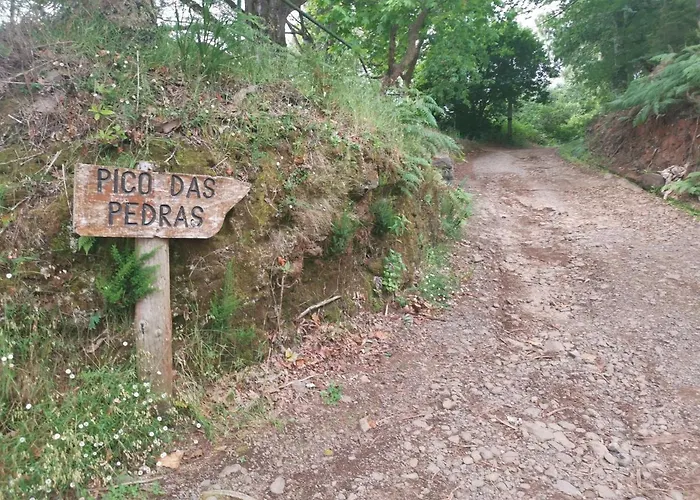 In Nature Отель типа 